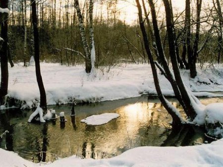 Что можно нарисовать красиво и не сложно