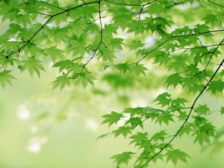 Что можно нарисовать красиво и не сложно