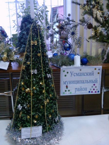 Фотоотчёт с областной экологической выставки новогодних композиций...