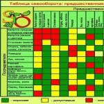 Как вырастить большие кабачки?